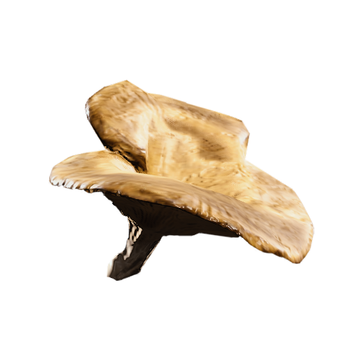 12 Mushroom + 12 Apricot + 3 Very Comfortable Pillow | Fast Delivery