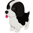🎯 Black Springer Spaniel - Full Grown 🎯