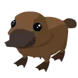 🎯 FR Platypus 🎯