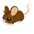 🎯 Field Mouse - Full Grown 🎯
