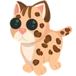 🎯 Leopard Cat - Junior 🎯