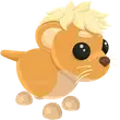 🎯 MFR Lion Cub 🎯