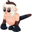 🎯 MR Capuchin Monkey 🎯