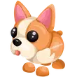 🎯 N French Bulldog 🎯