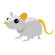 🎯 N Golden Rat 🎯