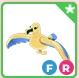 Golden Albatross FR