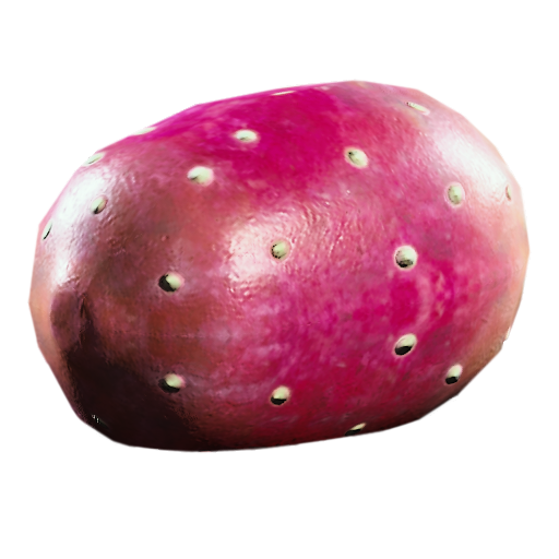 Prickly Pear X6 | Fast Delivery