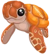 🎯 NFR Sea Turtle - Sunshine 🎯