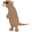 🎯 NR Meerkat - Sparkle 🎯