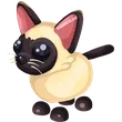 🎯 NR Siamese Cat 🎯