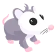 🎯 Possum 🎯