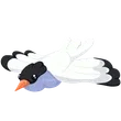 🎯 R Arctic Tern 🎯