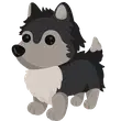 🎯 R Husky - Pre Teen 🎯