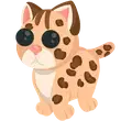 🎯 R Leopard Cat - Full Grown 🎯