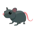 🎯 R Rat 🎯
