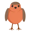 🎯 Robin 🎯