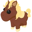 🎯 Shetland Pony Dark Brown 🎯