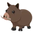 🎯 Wild Boar - Pre Teen 🎯
