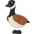 🎯 NFR Canada Goose - Sunshine 🎯