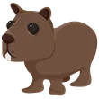 🎯 Capybara - Newborn 🎯
