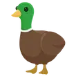 🎯 F Drake - Teen 🎯