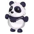 🎯 Giant Panda - Teen 🎯