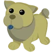 🎯 NFR Golden Chow-Chow - Twinkle 🎯