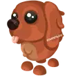 🎯 Irish Setter - Newborn 🎯