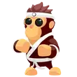 🎯 Karate Gorilla - Newborn 🎯