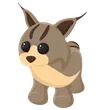 🎯 Lynx - Newborn 🎯