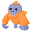 🎯 F Orangutan - Pre Teen 🎯