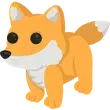 🎯 F Red Fox - Junior 🎯