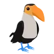 🎯 R Toucan - Post Teen 🎯