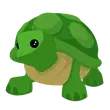 🎯 F Turtle - Pre Teen 🎯