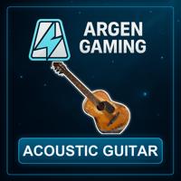 Acoustic Guitar