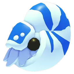 Nautilus NR