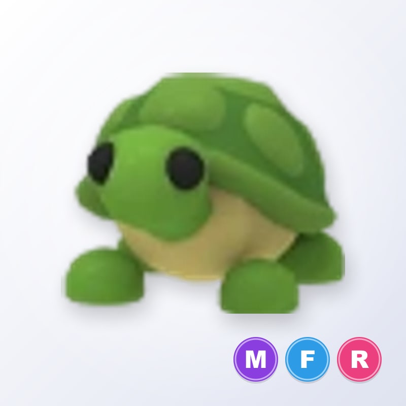MFR  Turtle   Adopt Me
