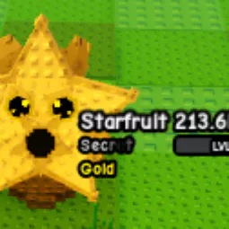 ⭐️1x Gold Starfruit 213.6k DMG 213.6k DPS 2.1 KG⭐️