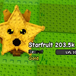 ⭐️1x Gold Starfruit 203.5k DMG 203.5k DPS 2 KG⭐️