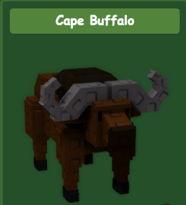 CAPE BUFFALO - GROW A GARDEN