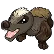 Badger