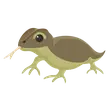 Komodo Dragon - Full Grown > Adopt Me / Adopt Me!