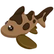 Leopard Shark - Post Teen > Adopt Me / Adopt Me!