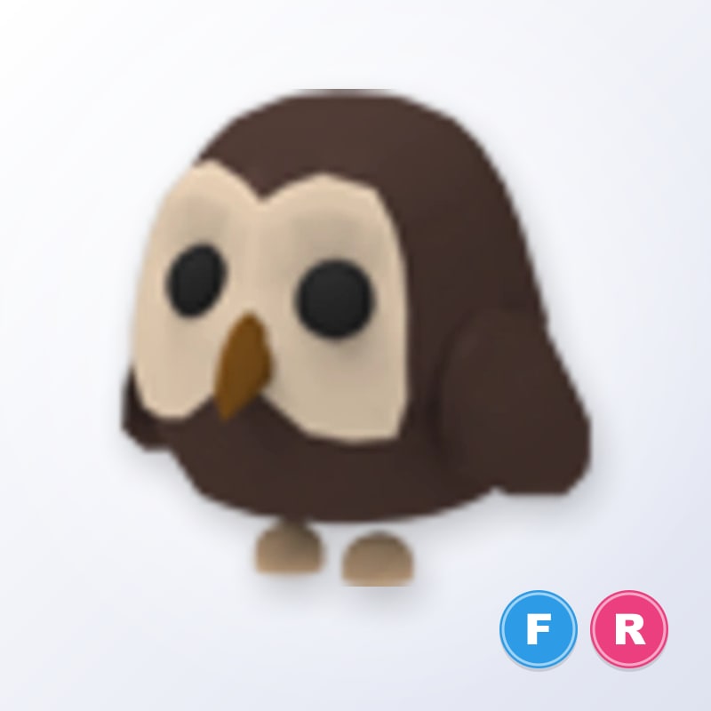 Owl FR | Adopt Me