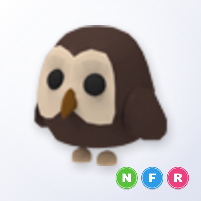 Owl NFR | Adopt Me