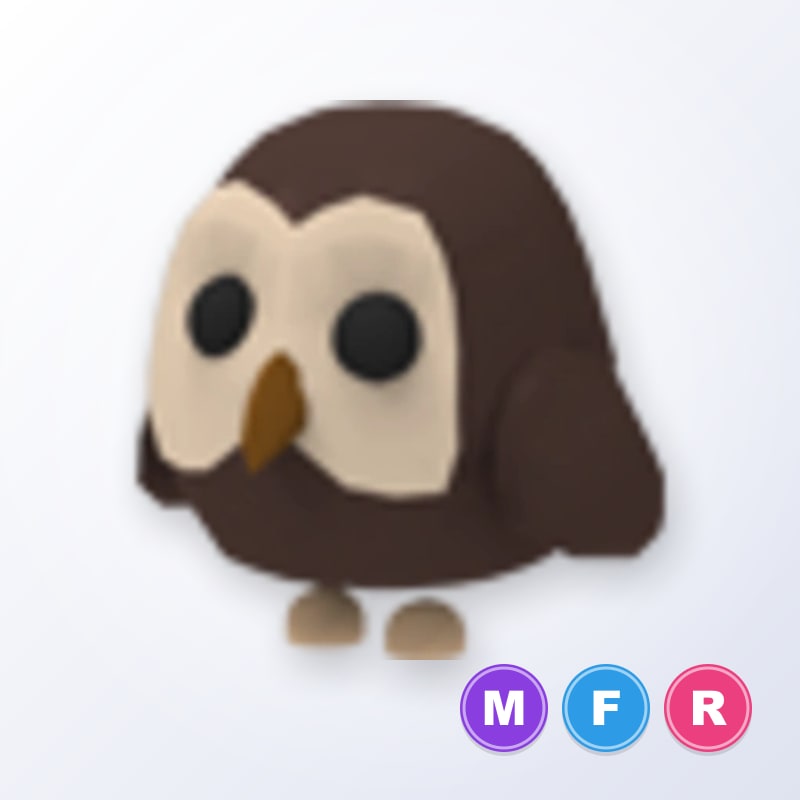 Owl MFR | Adopt Me