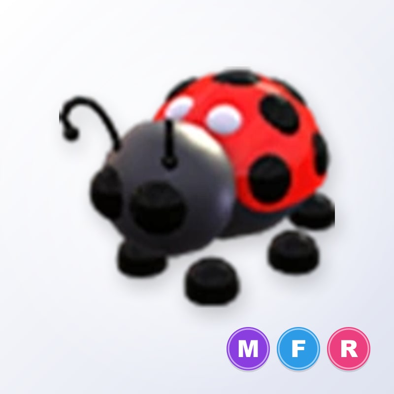 Ladybug MFR | Adopt Me