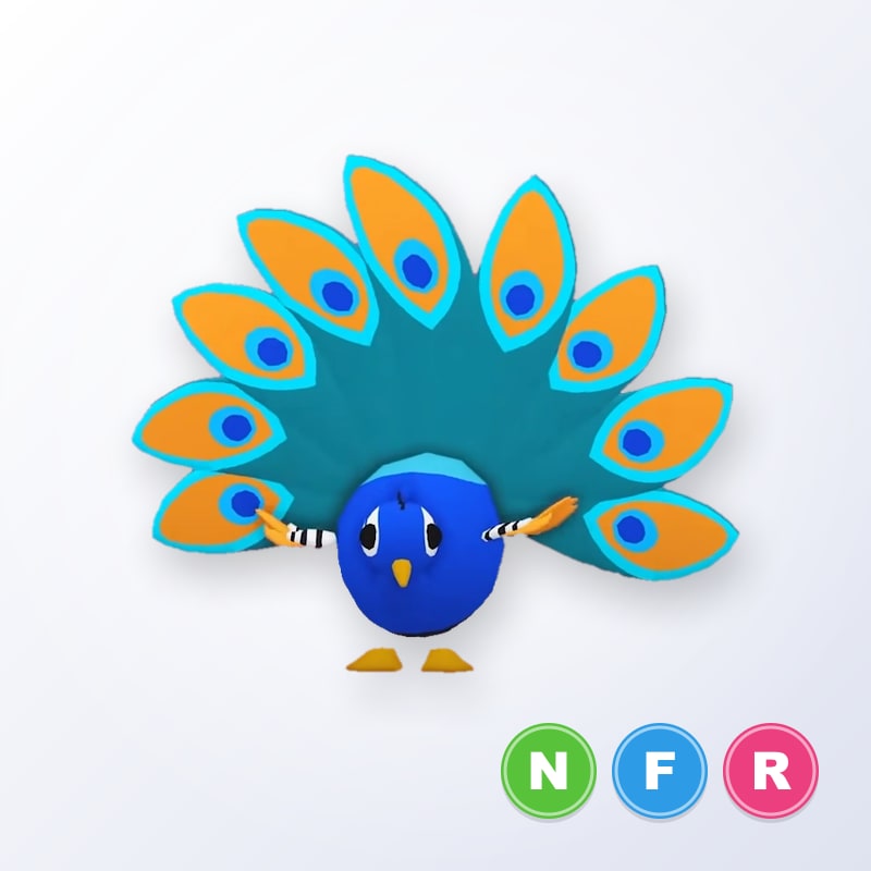 Peacock NFR | Adopt Me