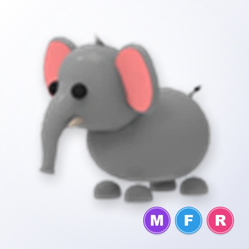 Elephant MFR | Adopt Me