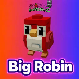BIG ROBIN | READY UNIT | FAST DELIVERY